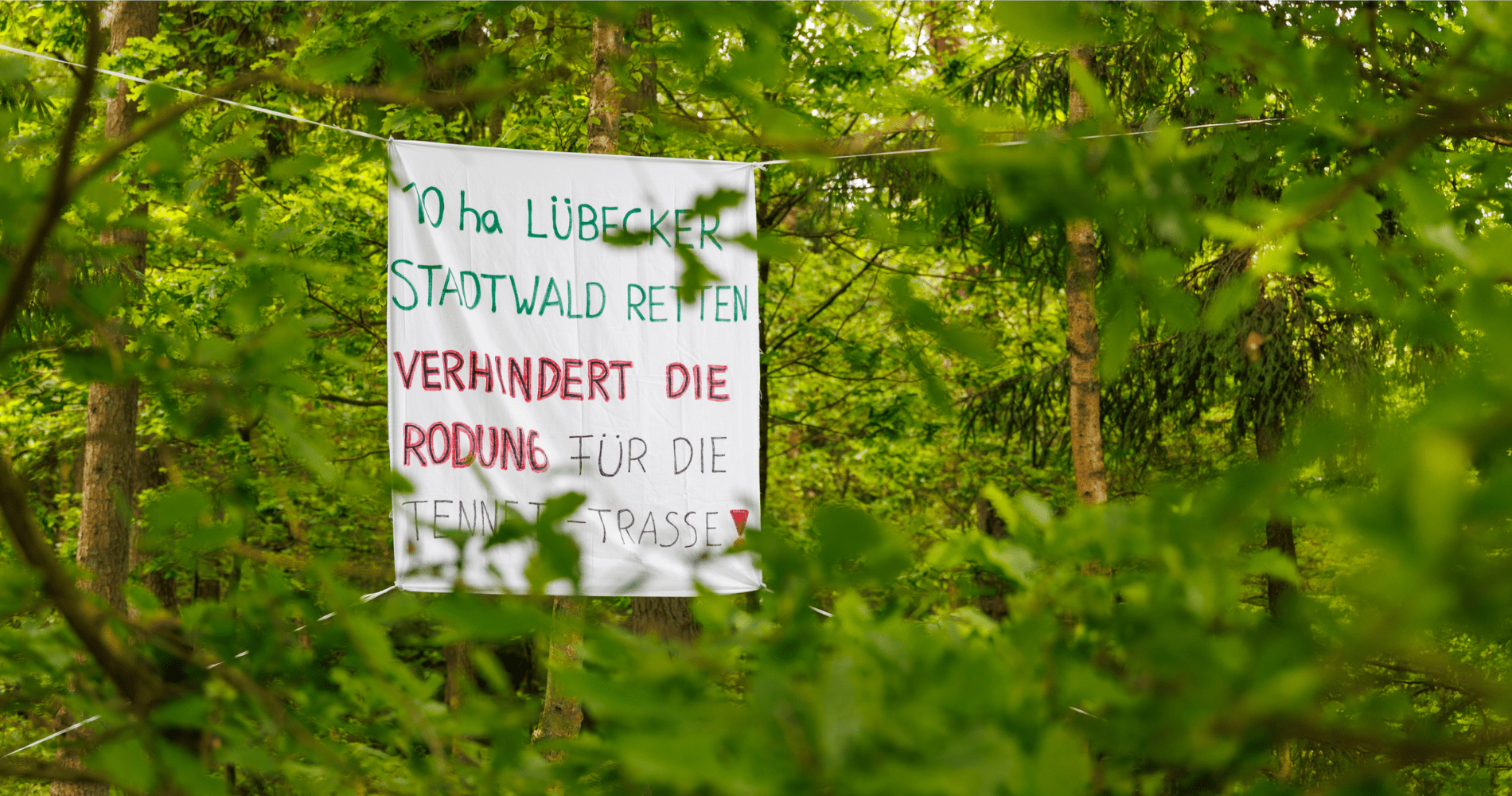 Finger weg von unseren Stadtwäldern!
